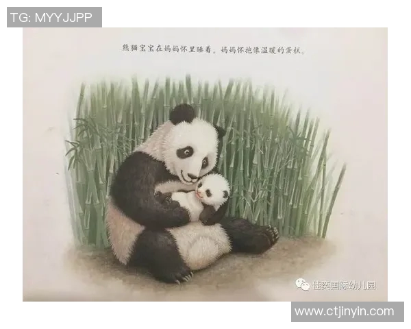 足球明星携子女共攀高峰感受自然之美温馨亲子时光视频分享